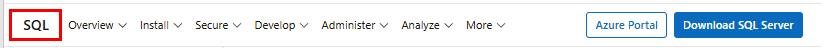 Zrzut ekranu przedstawiający opcję menu Sql Docs w nagłówku.